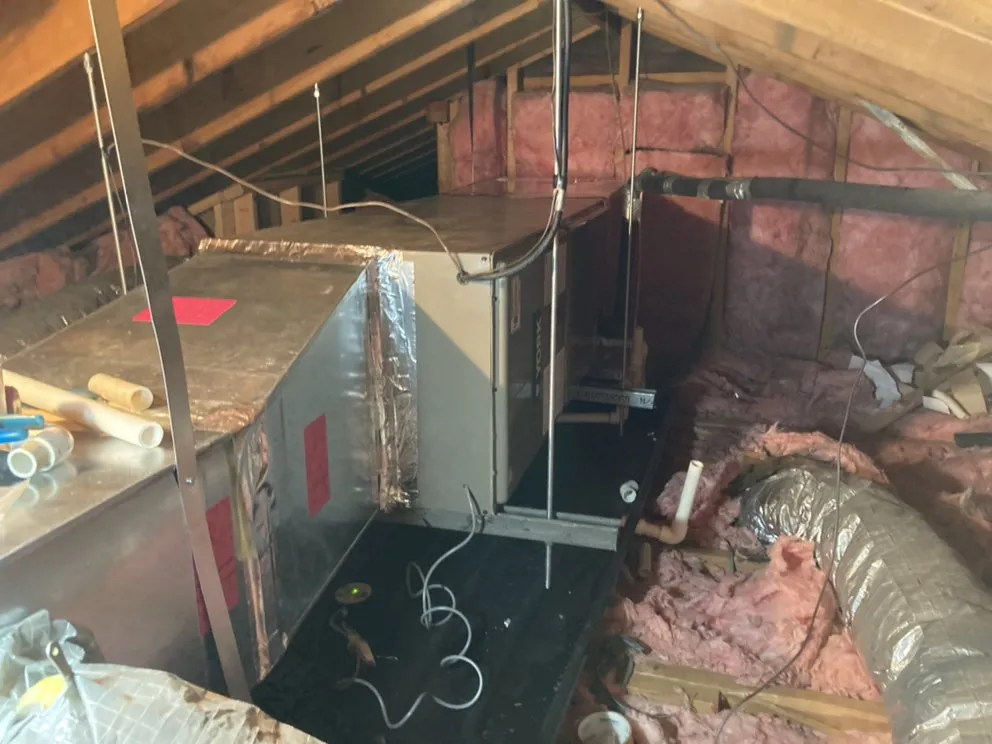 Slide of Euro Comfort Zone