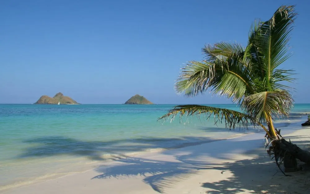 Slide of Evans Heating and Air