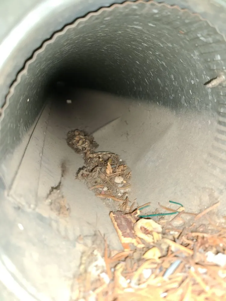 Slide of Evergreen Air Duct Cleaning