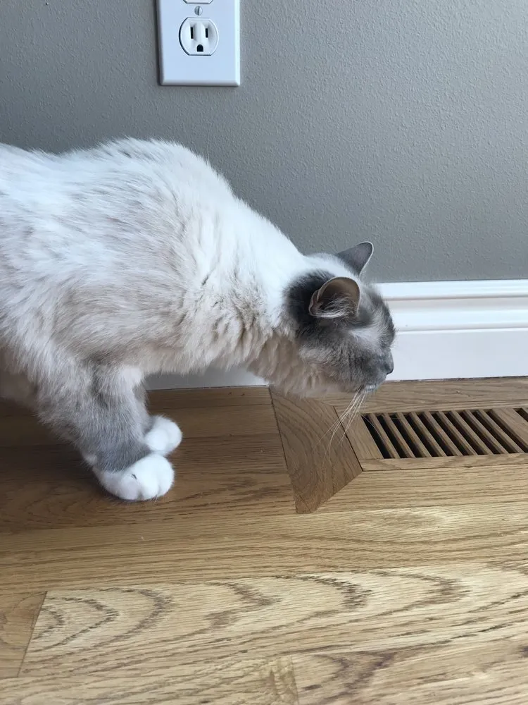 Slide of Evergreen Eastside Heat & AC