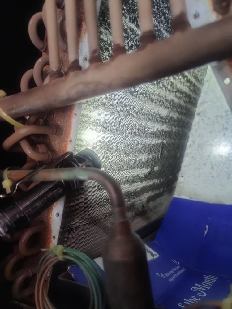 Slide of Evergreen IAQ