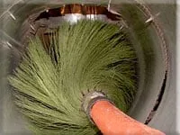 Slide of Evergreen Pure Air