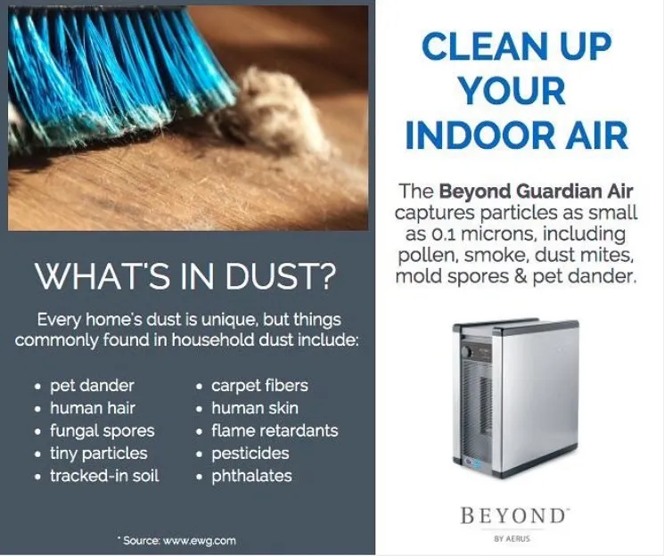 Slide of Everyday Air Systems