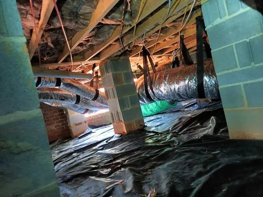 Everyday Pressures Logo