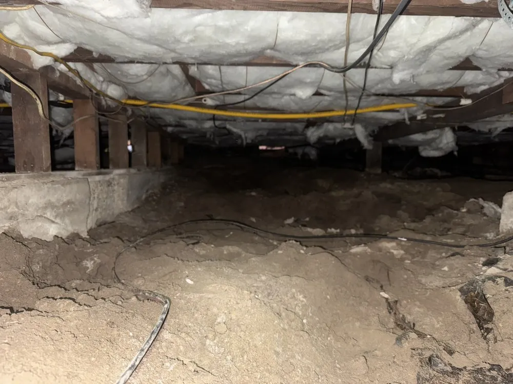 Slide of Everything Crawlspace