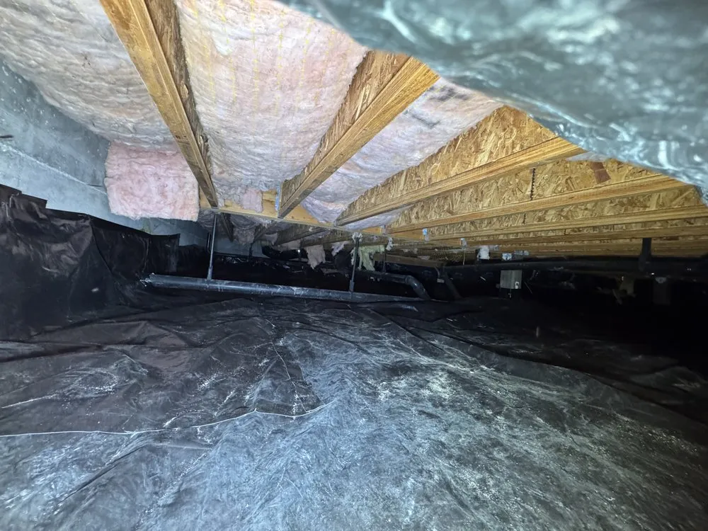 Slide of Everything Crawlspace