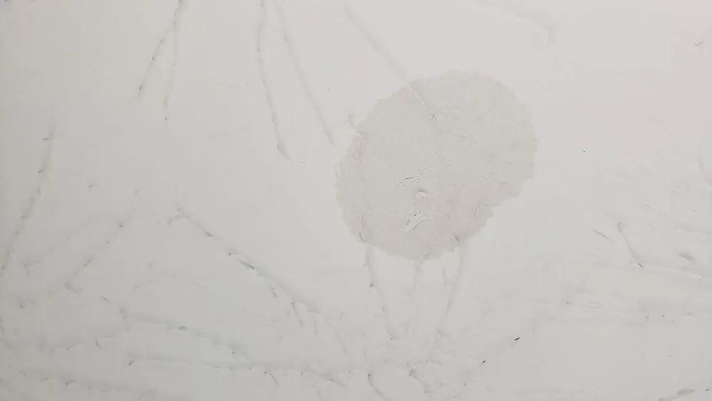 Slide of Evolution Heating & Cooling