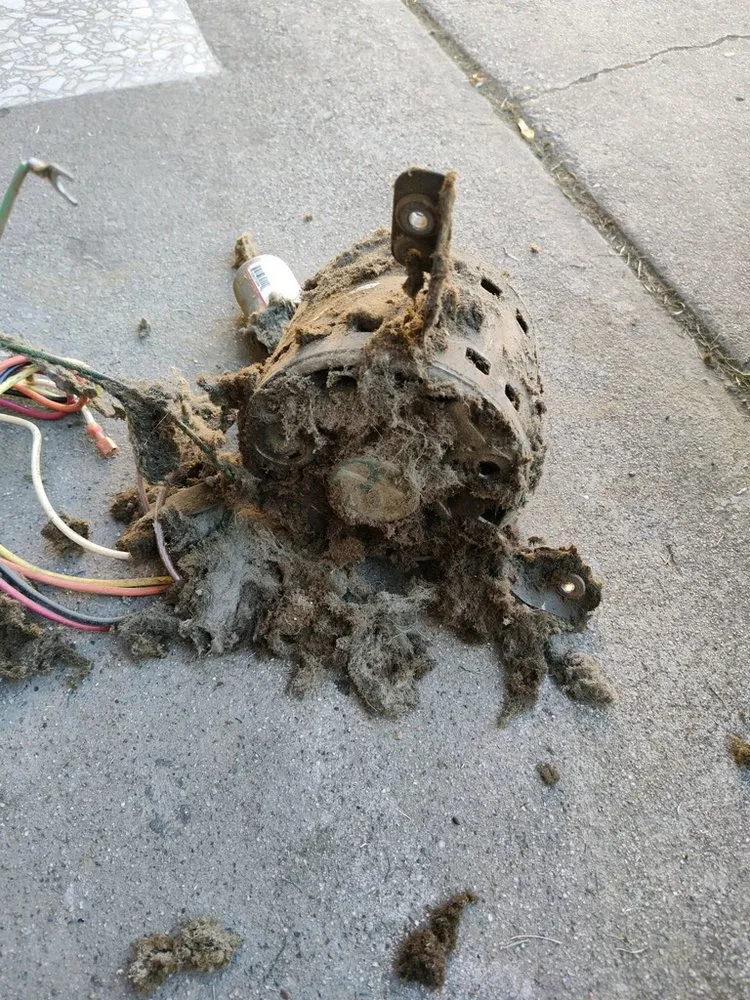 Slide of Evolution Heating & Cooling