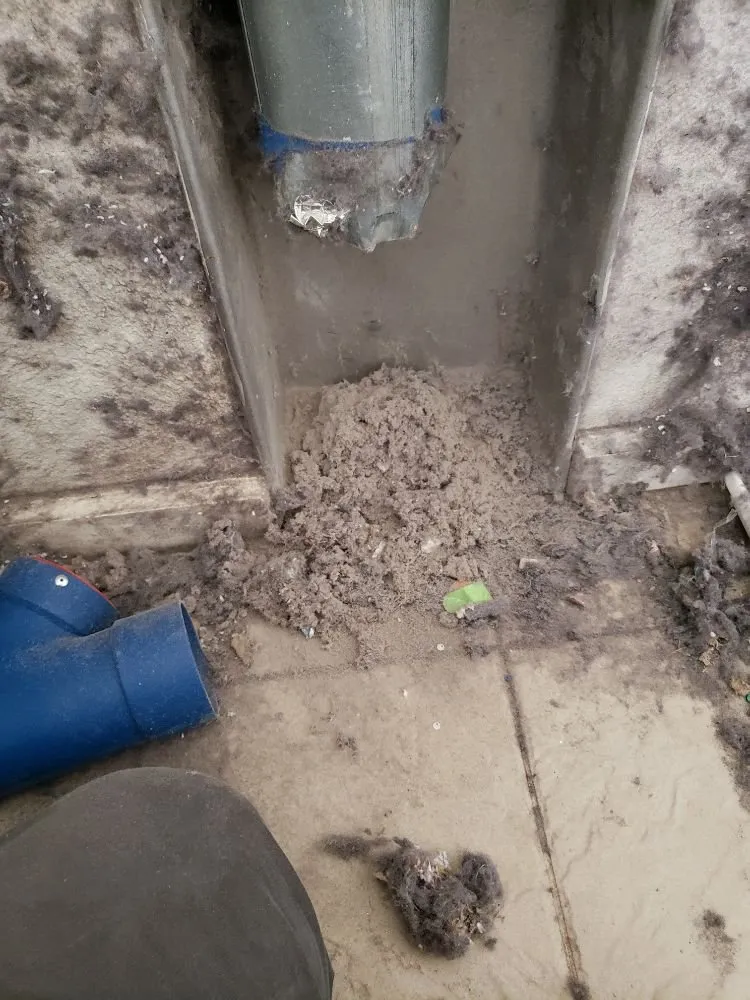 Slide of Evolution Heating & Cooling