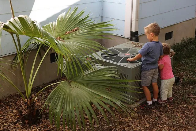 Slide of Evolution Services