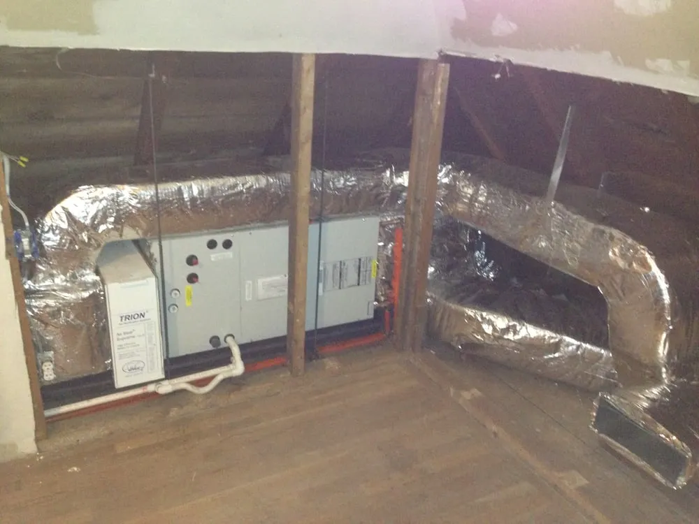 Slide of Evolved Mechanical