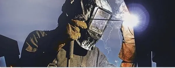 Exotic duct design Logo