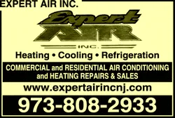 Expert Air Logo