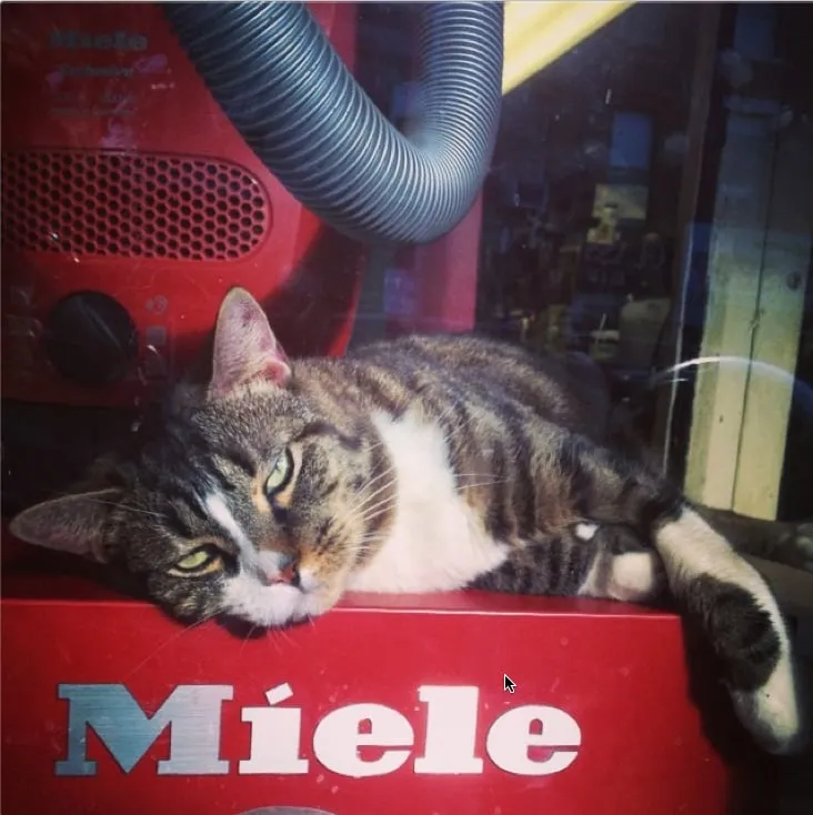 Slide of Expert Appliance Center