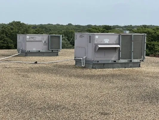 Expert Service Company Logo