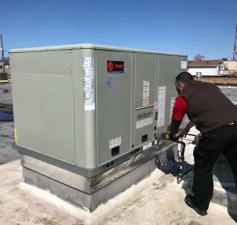 Slide of Expert Temperature