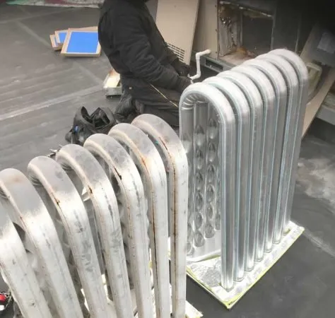 Slide of Expert Temperature