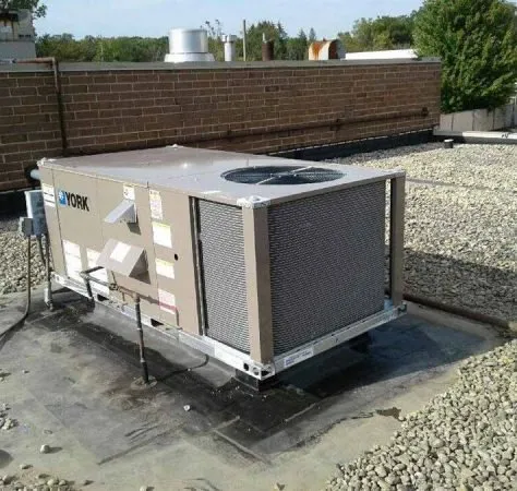 Slide of Expert Temperature