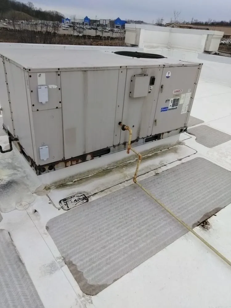 Slide of Express Essential Services