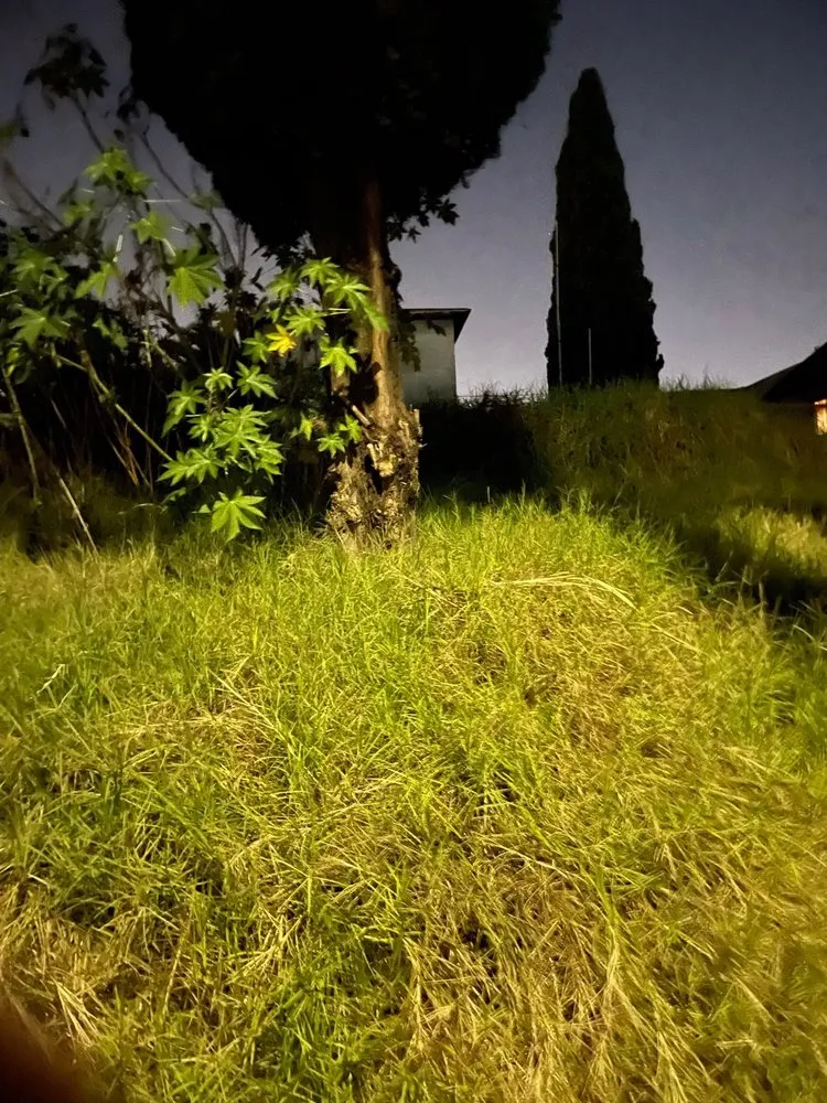 Slide of Express Junk Removal