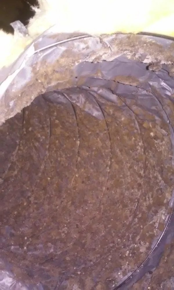 Slide of Extreme Air Care