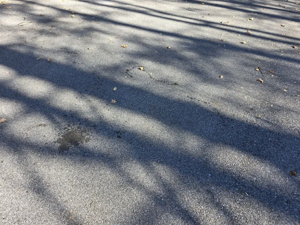 Slide of EZ HPS Services