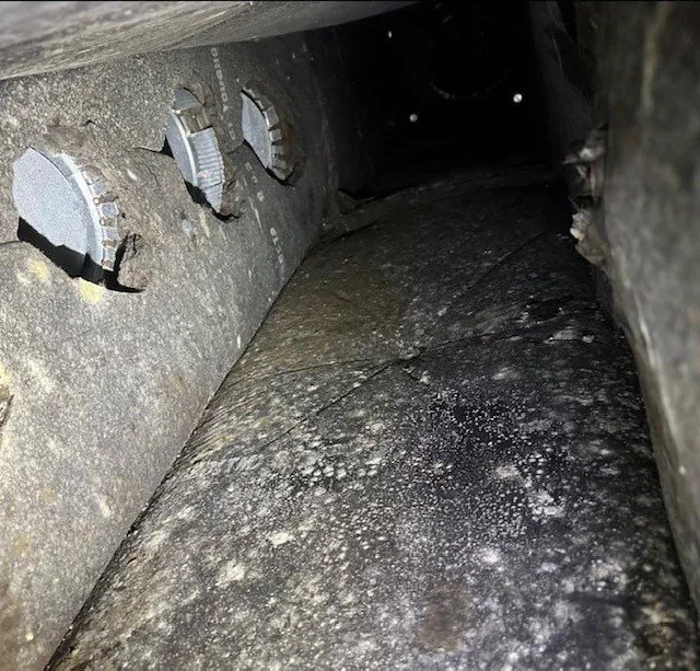 Slide of F1 Mechanical