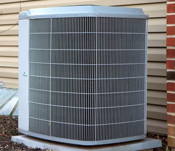 Slide of Fabian & Son