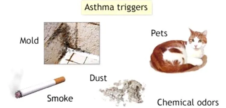 Slide of FairPrice Heating & Cooling