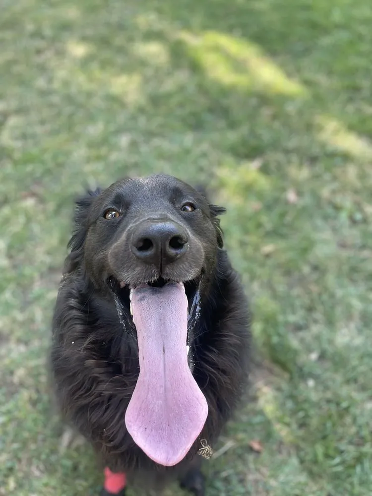 Slide of FairPrice Heating & Cooling