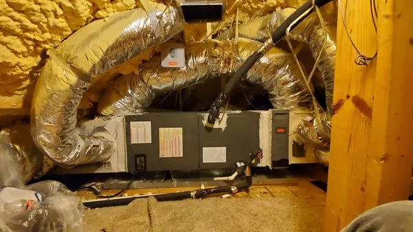 Falcon Property Services Logo