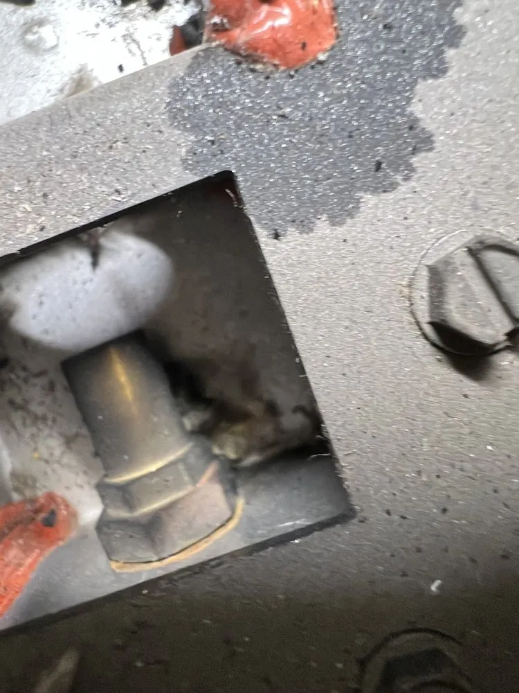 Slide of Falco's Spokane