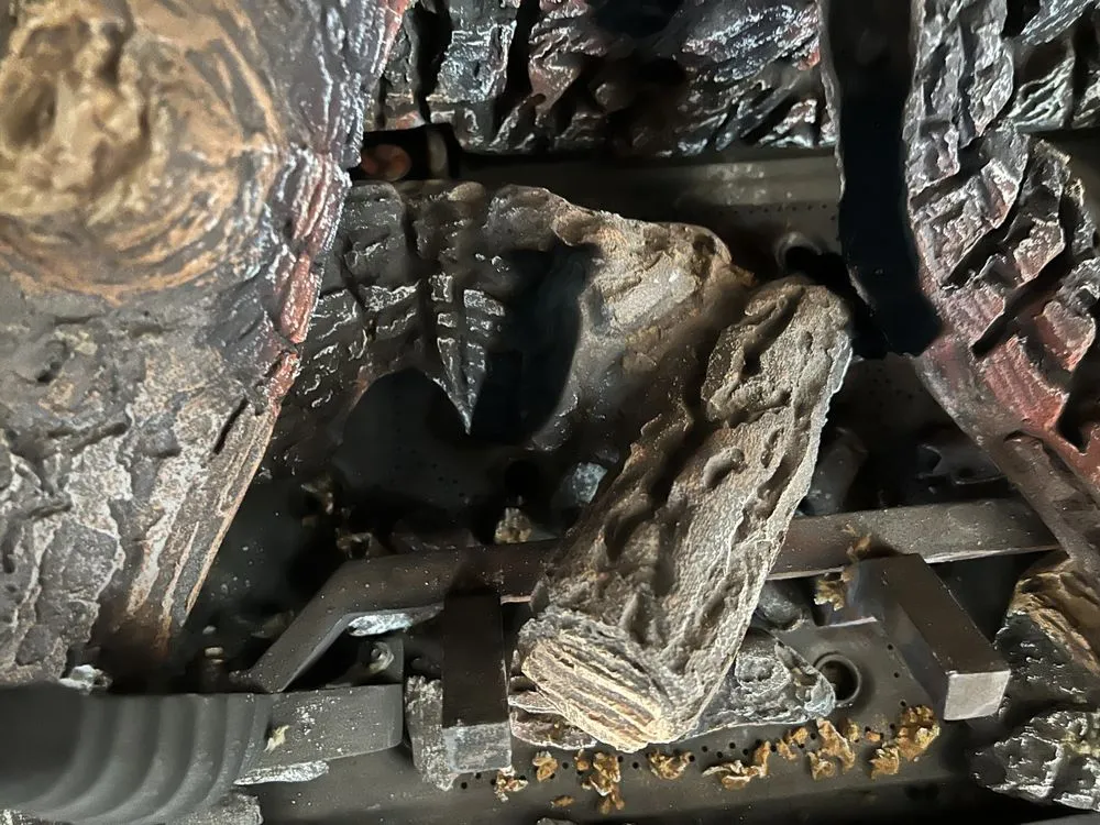 Slide of Falco's Spokane