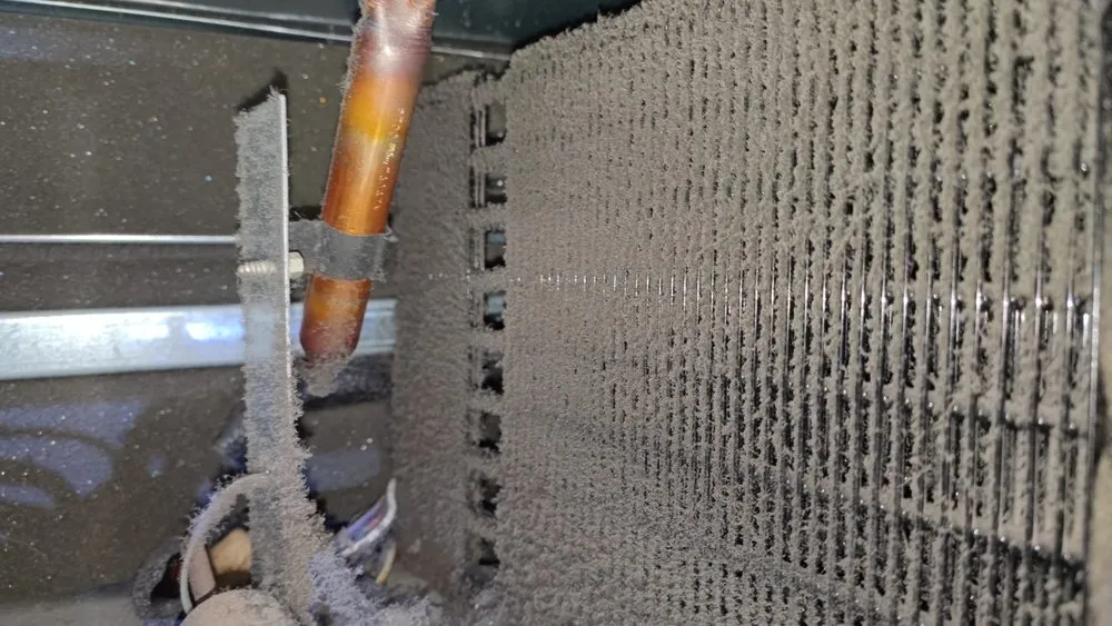 Slide of Family Master