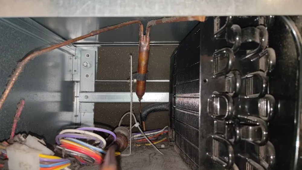 Slide of Family Master