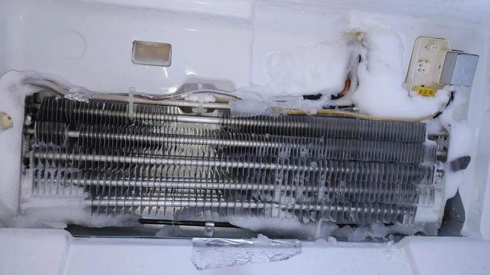 Slide of Family Master