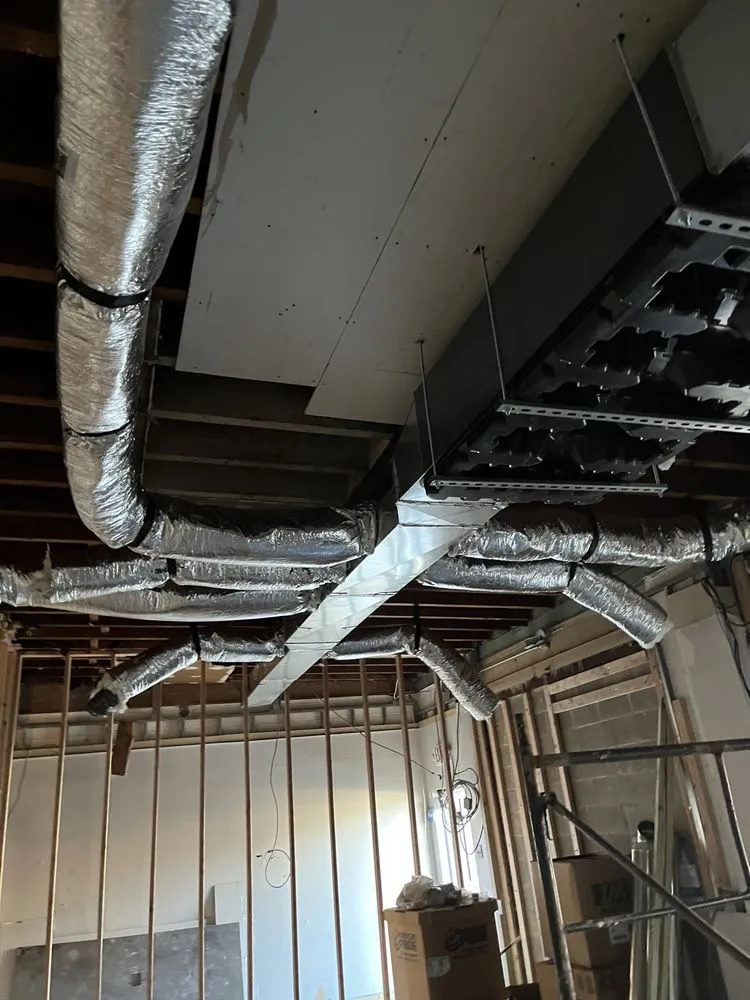 Slide of Fanfan & Steve Group