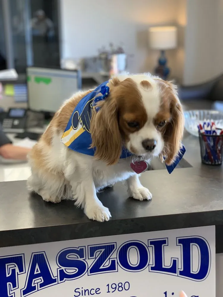 Emergency heating and cooling service in Ofallon, MO - Faszold Heating & Cooling