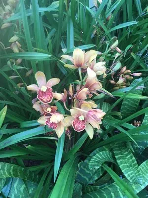 Father & Sons Air Conditioning & Heating Logo