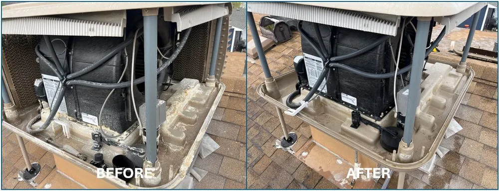 Slide of Fenix Home Services