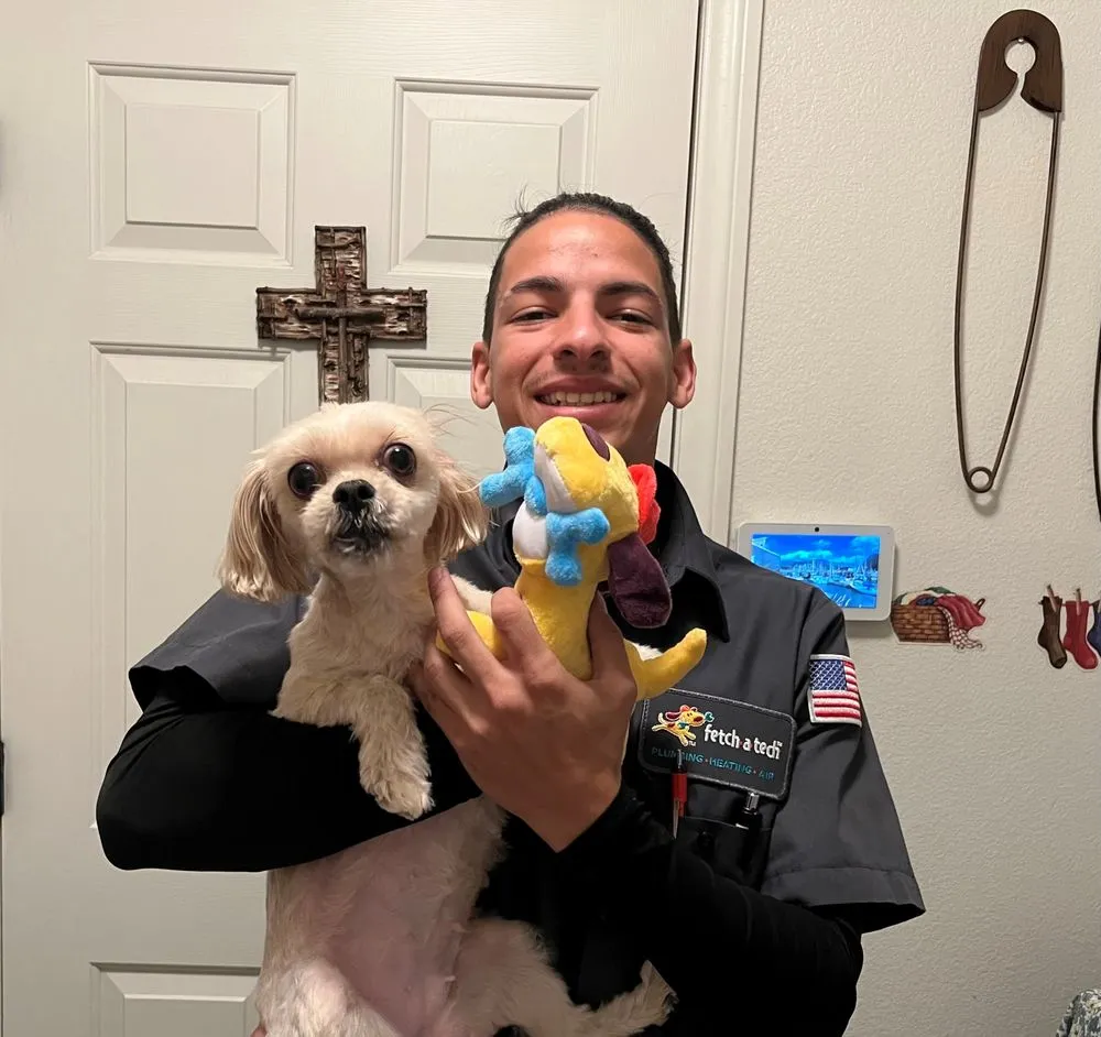 Slide of Fetch a Tech