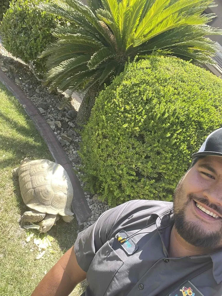 Slide of Fetch a Tech