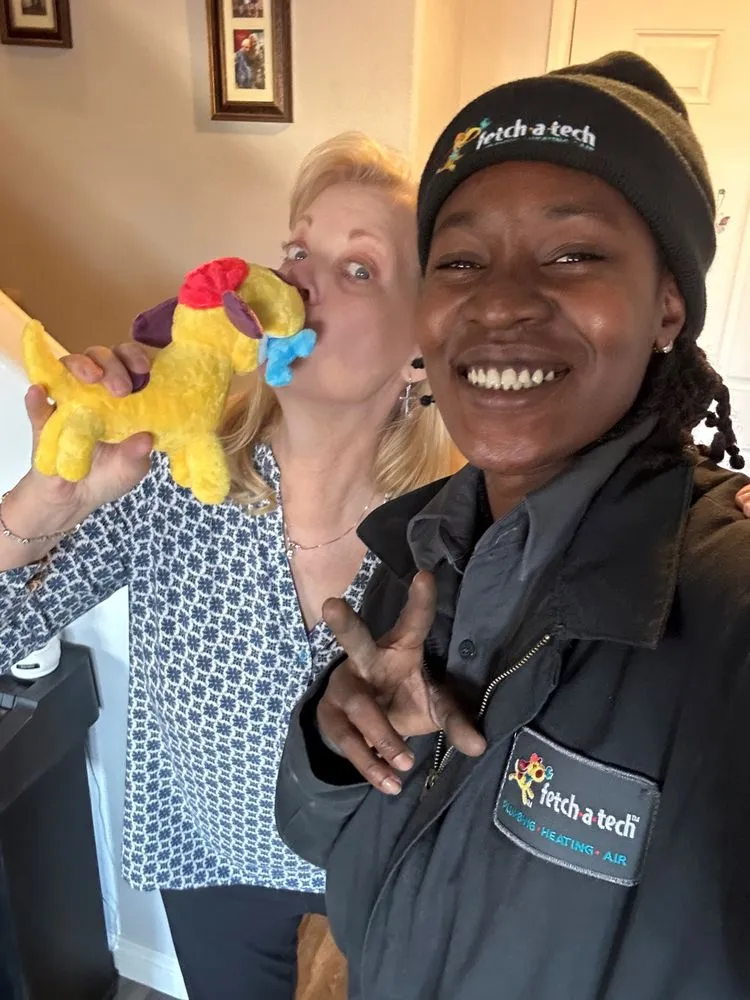 Slide of Fetch a Tech