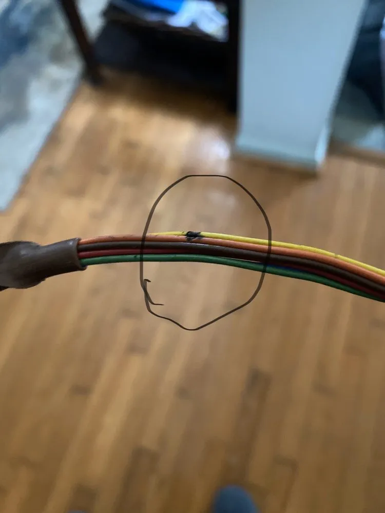 Slide of Fick's Mechanical