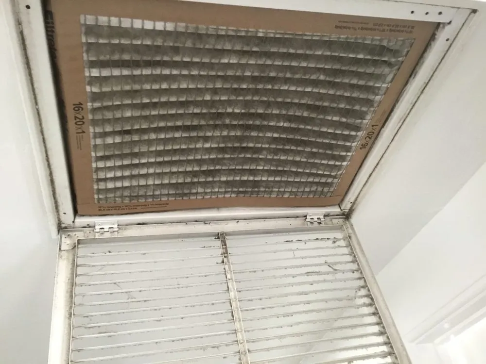 Slide of Filternomics