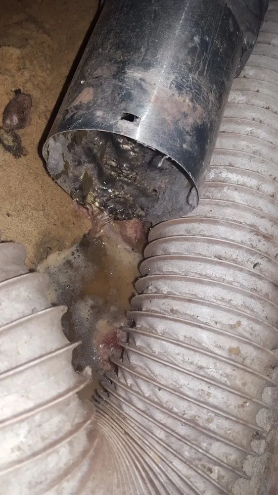 Slide of Fire and Ice Heating and Cooling