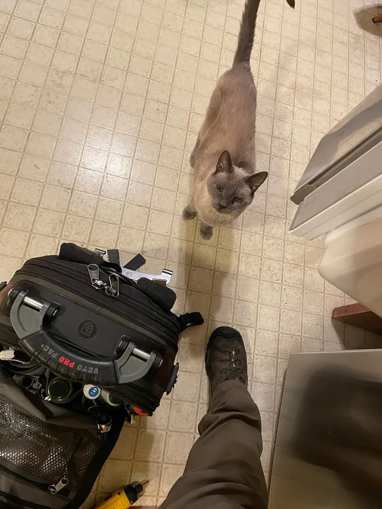 Slide of First California Appliances