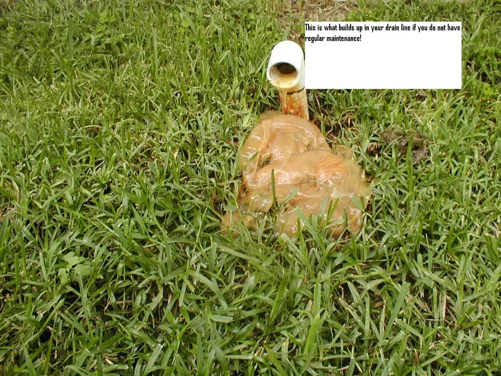 Slide of First Call Services