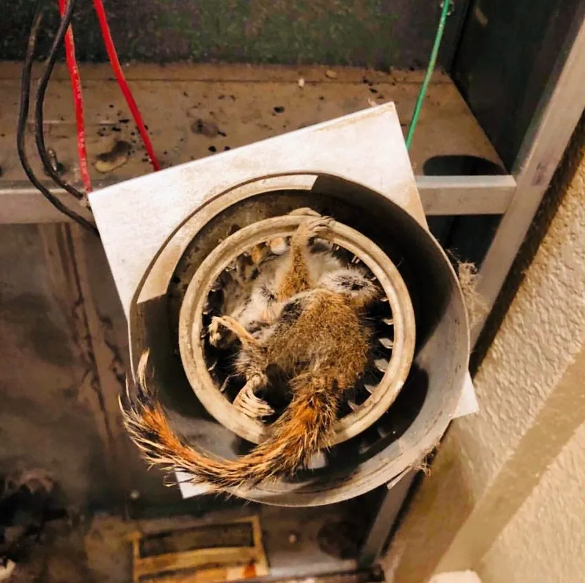 Slide of First Choice Heating & Air