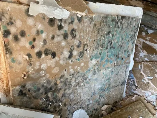 First Class Air & Restoration